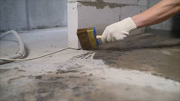 Top rated local Basement Waterproofing specialists in Bunker Hill, IN